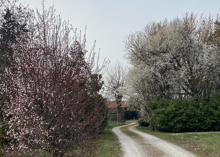 Bed & Breakfast Acero Giallo