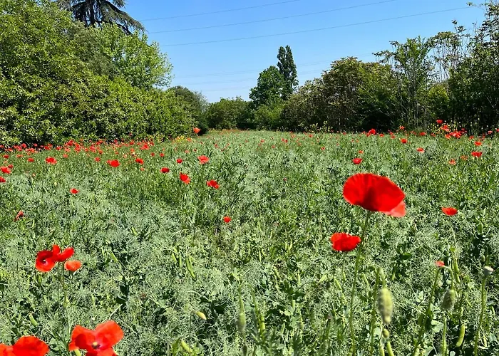 Acero Giallo Bed & Breakfast 3*