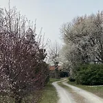 Nocleg ze śniadaniem Acero Giallo