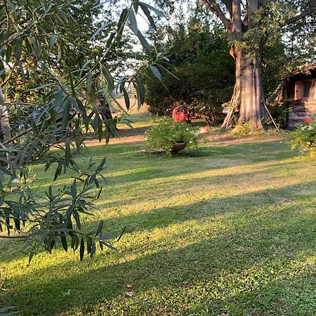 Acero Giallo Bed & Breakfast 3*