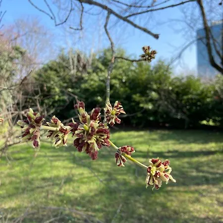 Bed & Breakfast Acero Giallo 3*