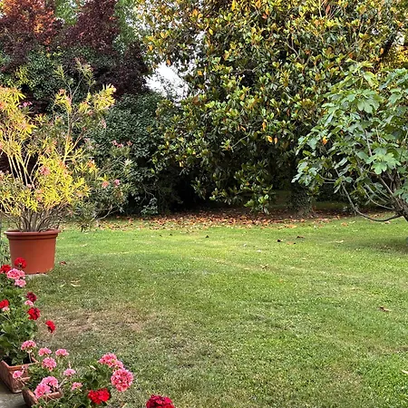 Bed & Breakfast Acero Giallo Parma