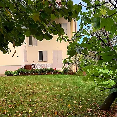 Acero Giallo Parma