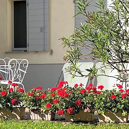 Acero Giallo Bed & Breakfast