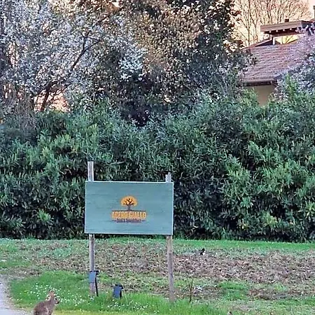 Acero Giallo 3* Parma
