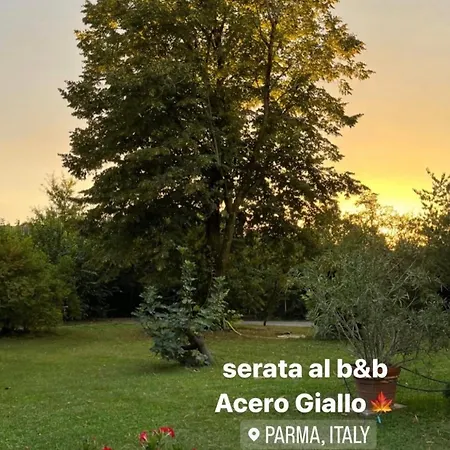 Acero Giallo 3*