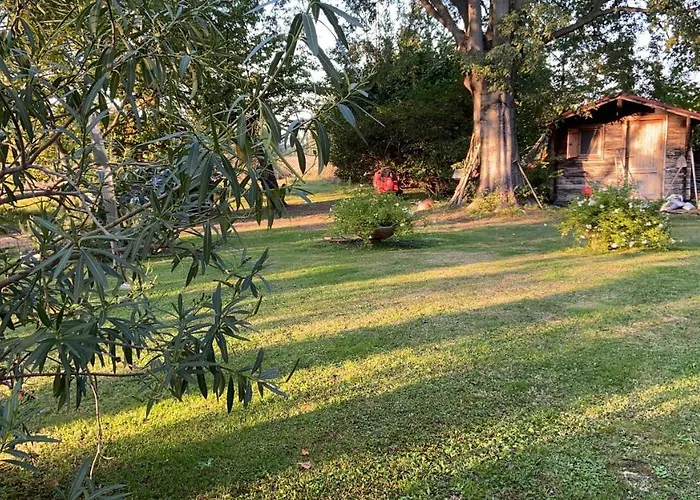 Acero Giallo Bed and Breakfast 3*