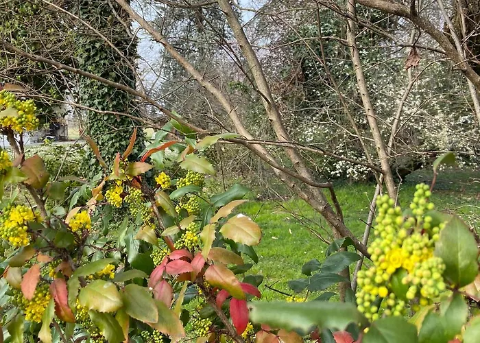 Bed and Breakfast Acero Giallo