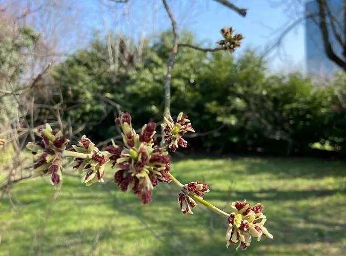 Bed and Breakfast Acero Giallo 3*