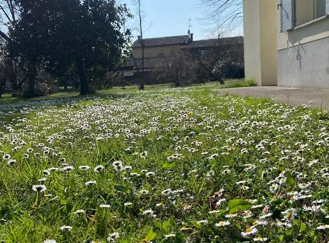 Acero Giallo Bed and Breakfast